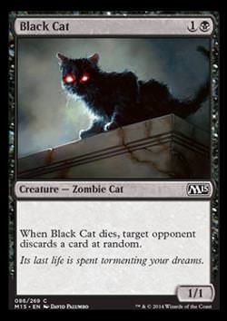 Black Cat (Schwarze Katze)