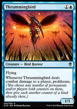 Thrummingbird (Surrvogel)