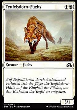 Teufelsdorn-Fuchs (Devilthorn Fox)