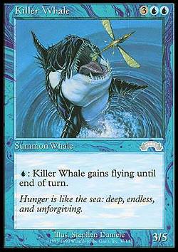Killer Whale (Killerwal)
