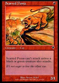 Scarred Puma (Vernarbter Puma)