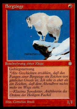 Bergziege (Mountain Goat)