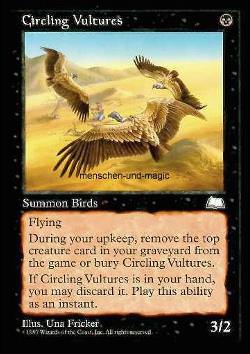 Circling Vultures (Kreisende Geier)